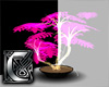 C - Plant v6 pink