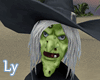 *LY* Halloween Witch