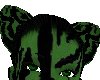 Green Tiger Ears