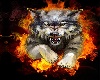 Fire Wolf Club