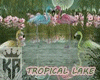 Tropical Lake 2024