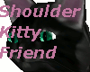 Shoulder Kitty Friend!