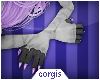 c; Aster Claws M