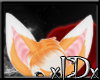 xIDx Orange Fox Ears