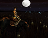 TinaDiamond riding horse