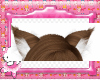 Brown Fox Ears