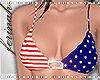 4th of July Bikini