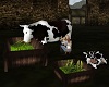 [DES] Milking Cows