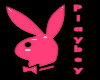 Playboy Bunny (small)