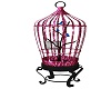 Birds in cage