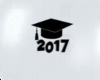 Graduation Ballons 2017