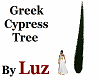 Greek Cypress Tree
