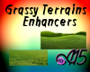 Grassy Terrain