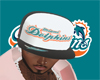 Dolphins Fitted