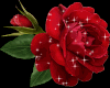 Sticker Red Rose