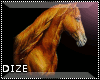 ! DZ! 5 Horse Enhancer