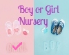 Girl Nursery