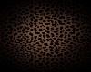 leopard hoodie