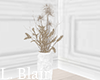 Vase of Dried Flowers