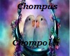 Chompus Chompolli