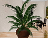 Brown Fern Planter