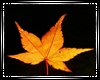Autumn Leaf Dj Light