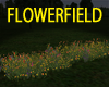 FLOWERS GARDEN/FIELD