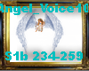 Angel_Voice10