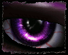 [ZX]Dread Purple