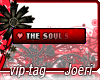 j| The Souls