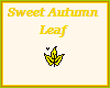 Sweet Autumn Leaf~Yellow