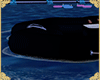 !A| Dark Pool Float
