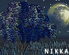 .nkk Night Animated Tree