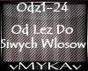 OD LEZ DO SIWYCH WLOSOW