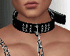 SL Iris Pet Leash