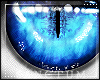 ( s ) Ushi Exclusive Eye
