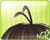 [Nish] Kat Hair Strands