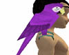 purple parrot