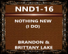 brandon lake NND1-16