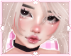 ❀. aoki | blonde