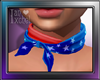 Tied neck scarf  F USA