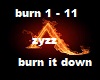 zyzz burn it down