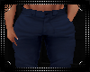 Perfect Pants [blue]