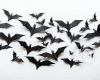 Flying Bats A.G.