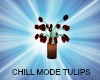 CHILL MODE TULIPS