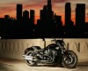 Harley night rod