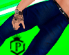 -P- Model V