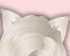 NNN.狐 Cat Ear