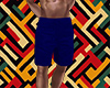 Shorts Blue V2