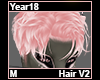 Year18 Hair M V2